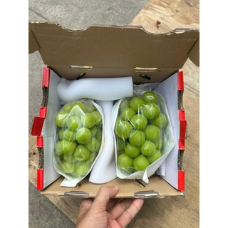 ( JENNY FRUIT ) THÙNG NHO SỮA 2 CHÙM 1.3KG NÉT