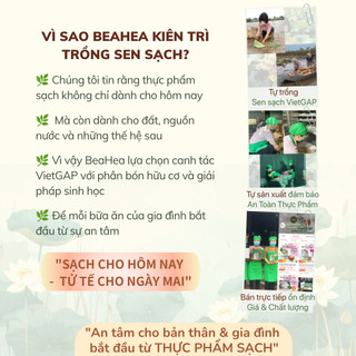 Bột Củ Sen BeaHea Healthy Food – Thực Phẩm Sạch Cho Lối Sống Ăn Lành Mạnh | Sen Sạch VietGAP