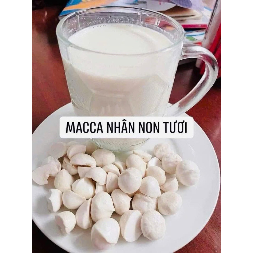 Macca Lai Châu Tươi Nguyên Vỏ Vụ Mới | Hạt Già Ngọt Bùi Béo Ngậy Làm Sữa Hạt Ăn Healthy 1kg