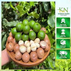 Macca Lai Châu Tươi Nguyên Vỏ Vụ Mới | Hạt Già Ngọt Bùi Béo Ngậy Làm Sữa Hạt Ăn Healthy 1kg