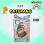 Bao 5kg_Hạt CATSRANG cho mèo