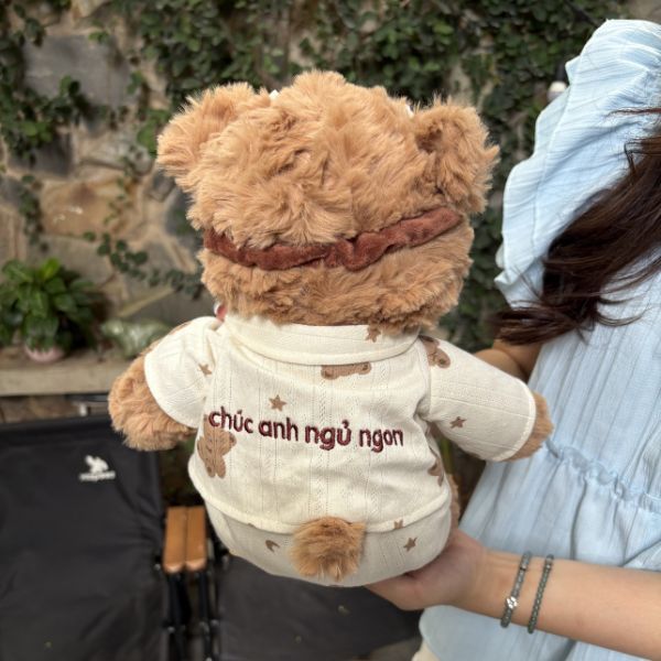 Gấu Bông Teddy Ngủ Cao Cấp Thêu Tên Theo Yêu Cầu, Quà Tặng Người Yêu Kèm Lời Chúc Ngủ Ngon Ý Nghĩa