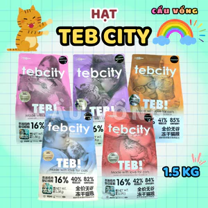 Hạt TEB CITY cho mèo - Túi 500g / 1kg / 1.5kg