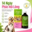 Coatshine 120ml Siro Bổ Sung Vitamin Omega Cho Chó Mèo - Dưỡng Lông Sáng Mượt, Chăm Sóc Da, Tổng Hợp Vitamin Khoáng Chất