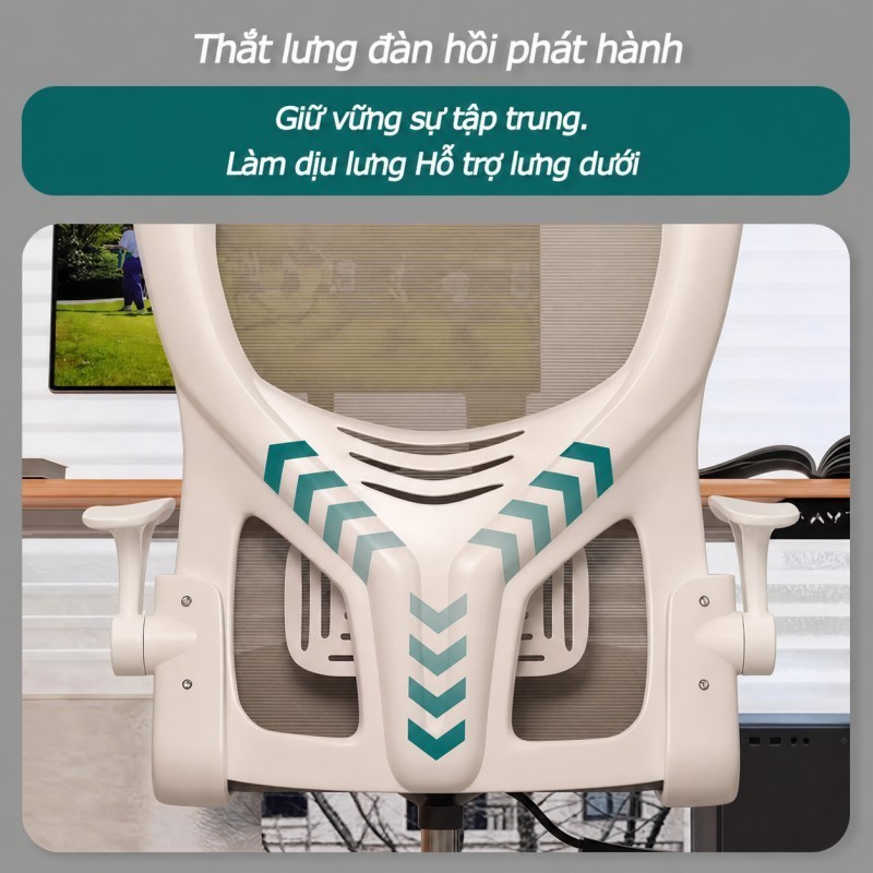 Ghế văn phòng công thái học Tựa lưng lưới thoáng khí Giảm đau lưng và Tựa đầu điều chỉnh được | BigBuy360 - bigbuy360.vn