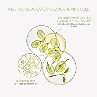 Sữa tắm thư giãn và cấp ẩm toàn thân M.Asam VINO GOLD Shower Gel 500ml