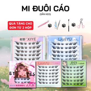 Mi giả không cần keo Jyd, mi đuôi cáo 12-14mm có thể tái sử dụng trong trang điểm, đi tiệc
