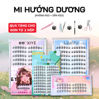 Mi giả sẵn keo và không keo mẫu mi hướng dương tự nhiên, dùng hằng ngày, phù hợp tất cả mắt