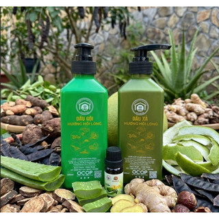 Combo Dầu Gội, Dầu Xả, Tinh Dầu Bưởi OCOP Hương Hồi Long - Hỗ trợ giảm gãy rụng, Tóc chắc khỏe