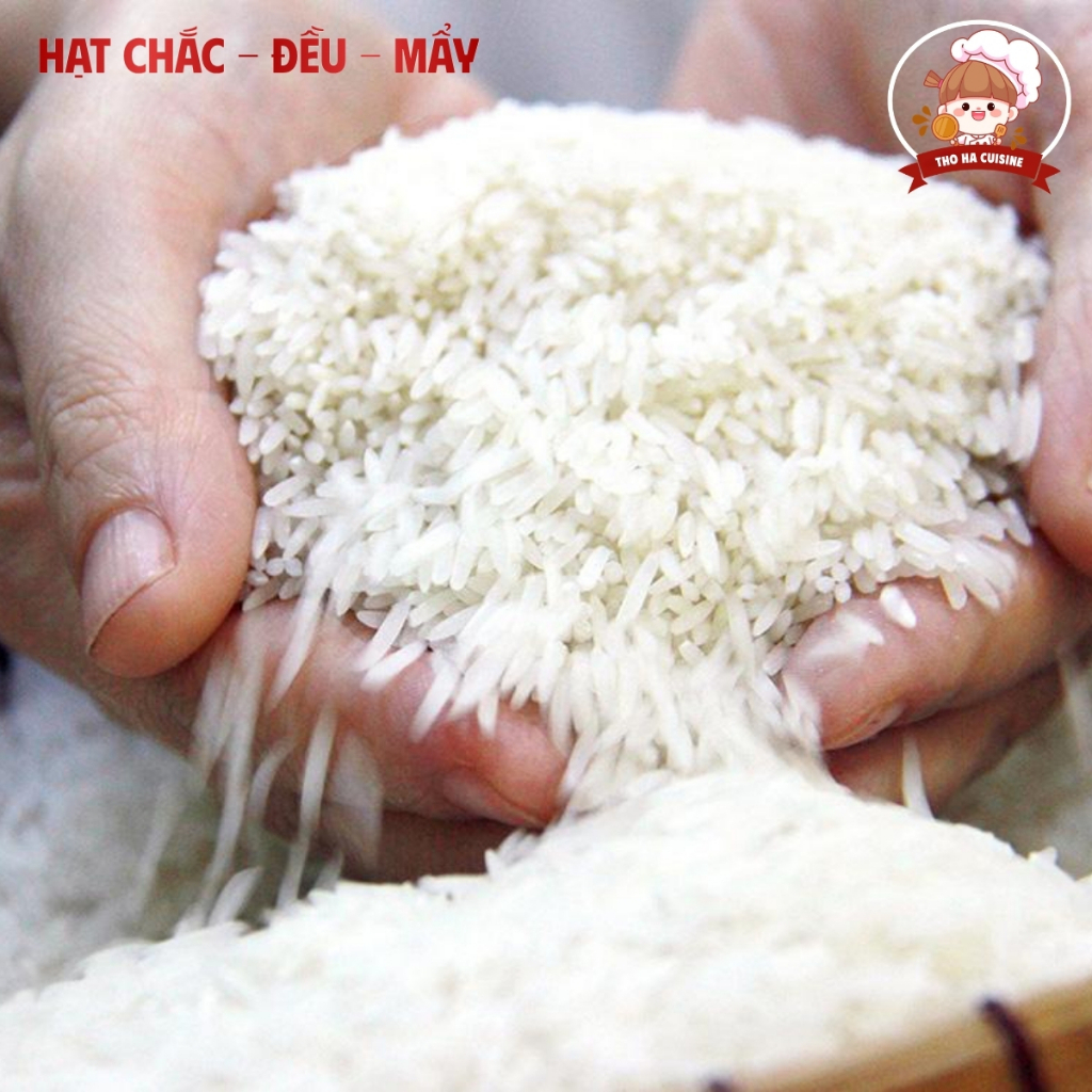 Gạo Thơm Lài túi 10kg chín hạt gạo trắng trong mềm dẻo thơm thượng hạng