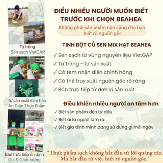 Bột Củ Sen Mix Hạt BeaHea Healthy Food | Bữa Sáng Healthy Dễ Duy Trì Mỗi Ngày | Sen Sạch VietGAP