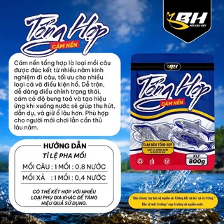 CÁM NỀN TỔNG HỢP BH 800G