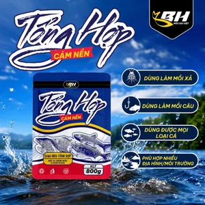 CÁM NỀN TỔNG HỢP BH 800G