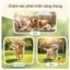 Viên Uống Bổ Sung Khớp Cho Chó Yumove - Dinh Dưỡng Khớp - Dùng Cho Mọi Lứa Tuổi
