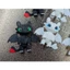 Móc Khóa In 3D Rồng Toothless - Light Fury Đáng Yêu - Rồng Răng Sún Siêu Cute Phụ Kiện Treo Túi Balo