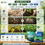 Combo Kích Rễ Phục Hồi Đất Farmix: Gói 1kg Trichoderma Vi Sinh Humic và 1kg Siêu Tinh Vôi Cao Cấp