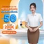 Áo sơ mi nữ 282 chất liệu modal Thái Hòa DÁNG HÀN QUỐC