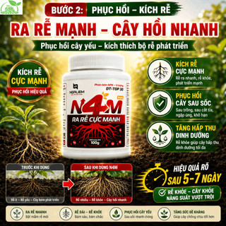 Bộ 3 Kích Rễ Phục Hồi Cây Farmix: Thuốc Atonik + N4M Ra Rễ Cực Mạnh + DT-TOP 30 Bung Chồi