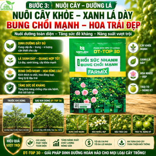 Bộ 3 Kích Rễ Phục Hồi Cây Farmix: Thuốc Atonik + N4M Ra Rễ Cực Mạnh + DT-TOP 30 Bung Chồi