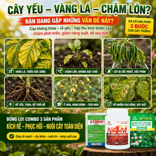Bộ 3 Kích Rễ Phục Hồi Cây Farmix: Thuốc Atonik + N4M Ra Rễ Cực Mạnh + DT-TOP 30 Bung Chồi