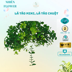 Lá Táo Tai Chuột, Lá Táo Mini Nhân Tạo Combo 5-10 Cành, Chuyên Dụng Cắm Hoa, Hoa Kẽm Nhung, Handmade