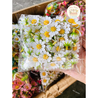 Túi 100 đầu bông Hoa cúc tana, cúc họa mi, cành lá trang trí hoa sáp, bánh kem- Phụ Kiện Trang Trí Bánh [FREESHIP🚗]
