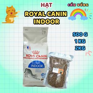 500g / 1kg / 2kg - Hạt ROYAL CANIN INDOOR Cho Mèo Lớn