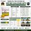 Mỡ Bò Kháng Nước Chịu Nhiệt, dạng hộp 1Kg Chính Hãng FUTROL Calcium Grease MP3