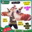 GẤU BÔNG CON CHÓ 3D LIẾC SIÊU HOT HIT MẪU MỚI ĐỘC LẠ - thú bông đồ chơi doll toys