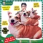 GẤU BÔNG CON CHÓ 3D LIẾC SIÊU HOT HIT MẪU MỚI ĐỘC LẠ - thú bông đồ chơi doll toys
