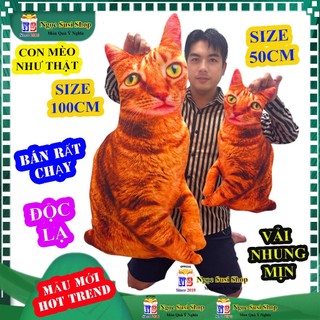 GẤU BÔNG CON MÈO 3D NHƯ THẬT ĐỘC LẠ SIÊU HOT - THÚ BONG CON MÈO CHẤT NHUNG  MUA CHỌN SIZE NGỌC SUSI