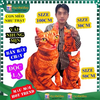 THÚ NHỒI BÔNG CON MÈO 3D NHƯ THẬT SIÊU ĐẸP NHƯ ẢNH MẪU MỚI - gấu bông thú bông đồ chơi doll toy