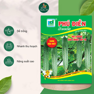 Hạt giống Dưa Chuột Nếp Ta F1 (Gói 1G~35 Hạt) Dễ Trồng, Giòn Ngọt, Rất Thơm, Năng Suất cao