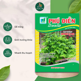 Hạt giống Rau Ngót Ta (Gói 1g~30 Hạt) Dễ Trồng, Sinh Trưởng Khỏe, Trồng Quanh Năm