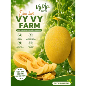 DƯA LƯỚI HOÀNG KIM - SIZE 2KG - HÀNG TƯƠI ODER TRƯỚC CUỐNG XANH
