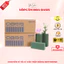 Combo 3-5-10 Viên Xốp Cắm Hoa Oasis Loại Tốt, Cắm Hoa Tươi, Hoa Khô Trang Trí Decor Diy YEN Store