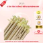 Sỉ Túi 50 Cán Lồng Đèn Bằng Tre Có Đầu Treo Nhựa, Hàng Đẹp Loại 1 Dùng Làm Đèn Lồng Handmade