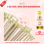 Sỉ Túi 50 Cán Lồng Đèn Bằng Tre Có Đầu Treo Nhựa, Hàng Đẹp Loại 1 Dùng Làm Đèn Lồng Handmade