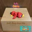 Móc khóa khớp nối Chú chim giận dữ Flexi - đồ chơi in 3d nhiều màu - Holyflexie - Holymesh