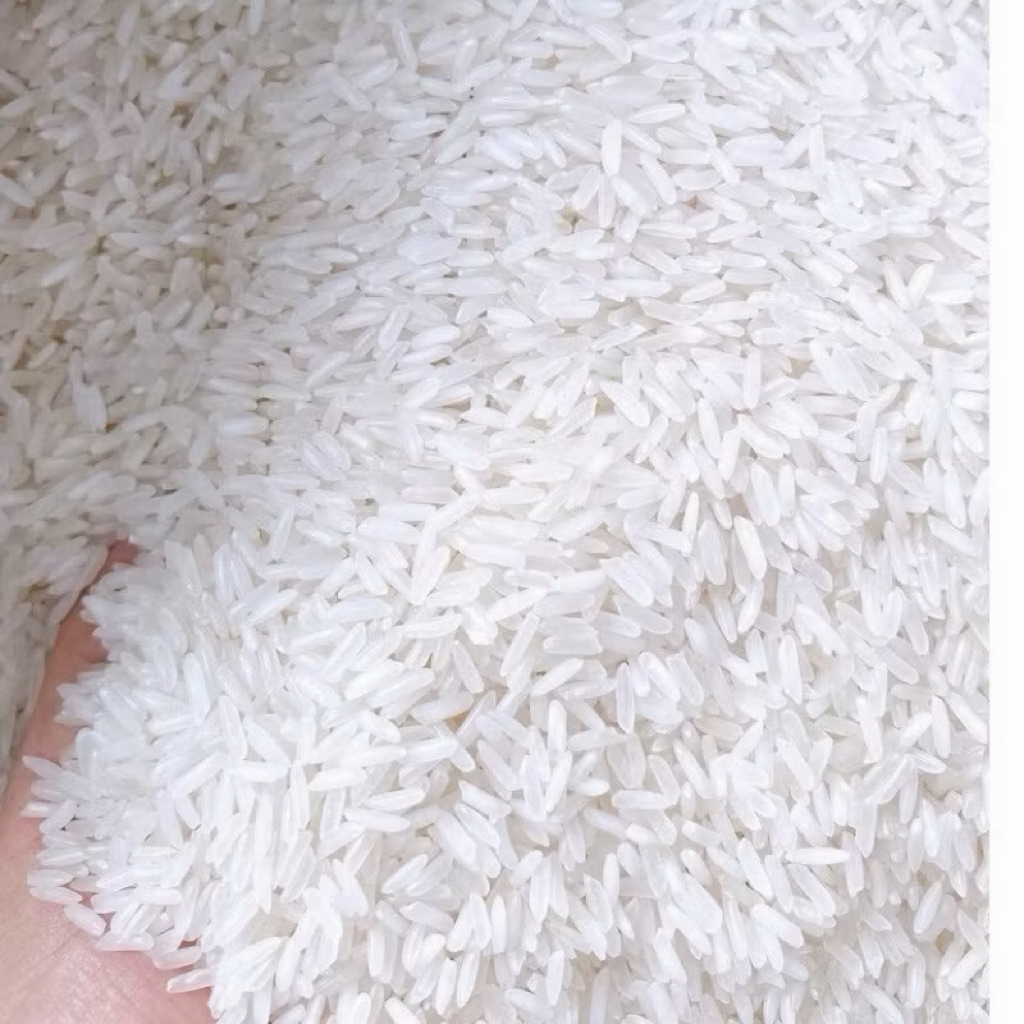🌾 GẠO ST25 SÓC TRĂNG THƠM NGON CAO CẤP 🌾 10kg