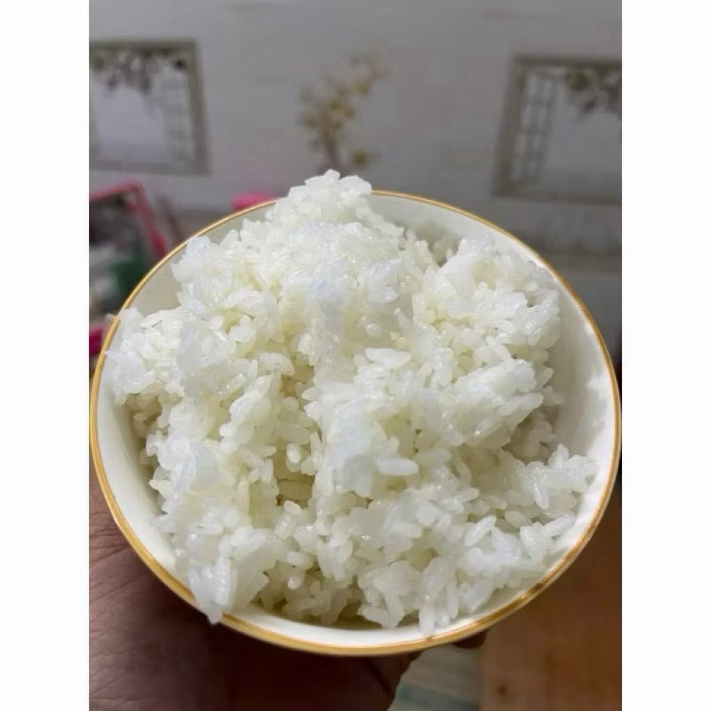 🌾 GẠO ST25 SÓC TRĂNG THƠM NGON CAO CẤP 🌾 10kg