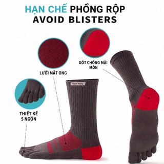 Tất vớ xỏ ngón chạy bộ trail  nam nữ cộng nghê coolmax chống phồng rộp thoáng khí nhanh khô giảm hôi chân TOSON STORY