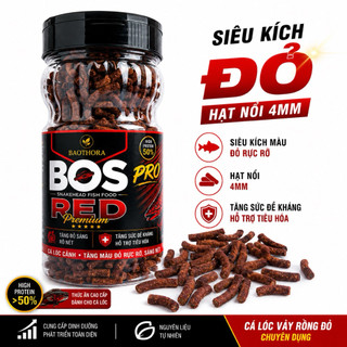 Cám BOS tăng màu Xanh - Đỏ - Vàng Cá Lóc cảnh từ Singapo Hỗ Trợ Tăng Màu