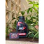 Motul Combo Siêu Tiết Kiệm 300V & C4 - Dầu nhớt 10W-40 & Dung dịch bảo dưỡng chuỗi - Chất lượng cao - Giá ưu đãi