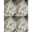 🎀Scrunchies Set Cột Tóc Vải Xô Muslin chấm bi nhỏ nhiều màu xinh xắn nhỏ nhắn dễ thương đáng yêu 🌸🎀🫶🏻✨✨