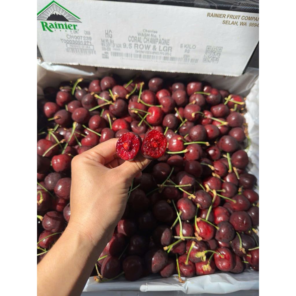 [ Chỉ Giao HCM ] Cherry Mỹ Ngọt Thanh- HỘP 1KG