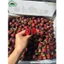 Cherry Mỹ Ngọt Thanh- HỘP 1KG