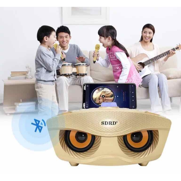 Loa Bluetooth Karaoke Mắt Cú Sdrd Sd-306 Kèm 2 Micro Âm Thanh Sống Động