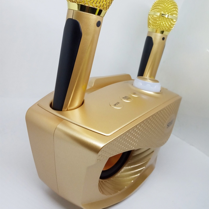 Loa Bluetooth Karaoke Mắt Cú Sdrd Sd-306 Kèm 2 Micro Âm Thanh Sống Động