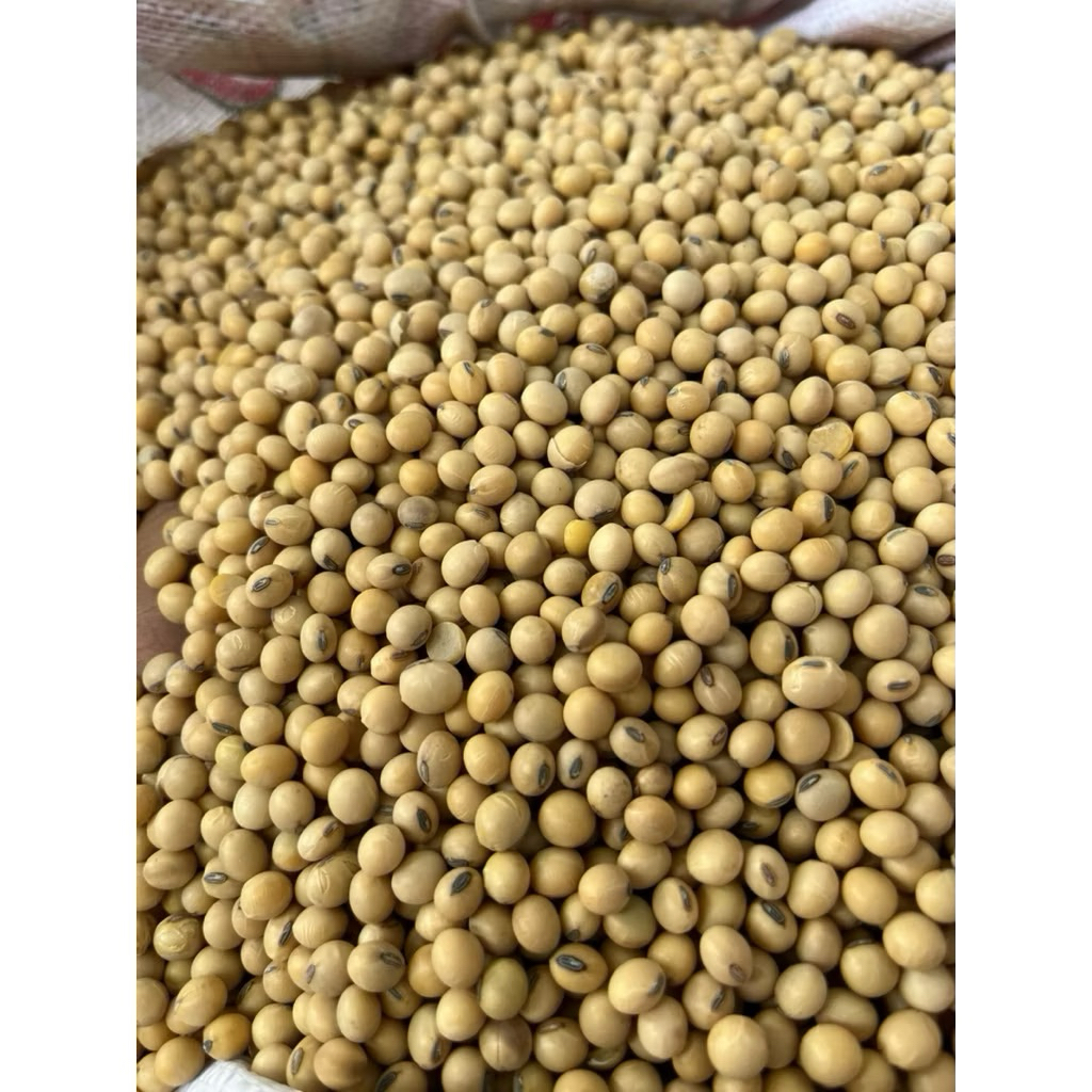 Đậu Nành Nguyên Hạt 1kg – Làm Sữa, Làm Đậu Phụ